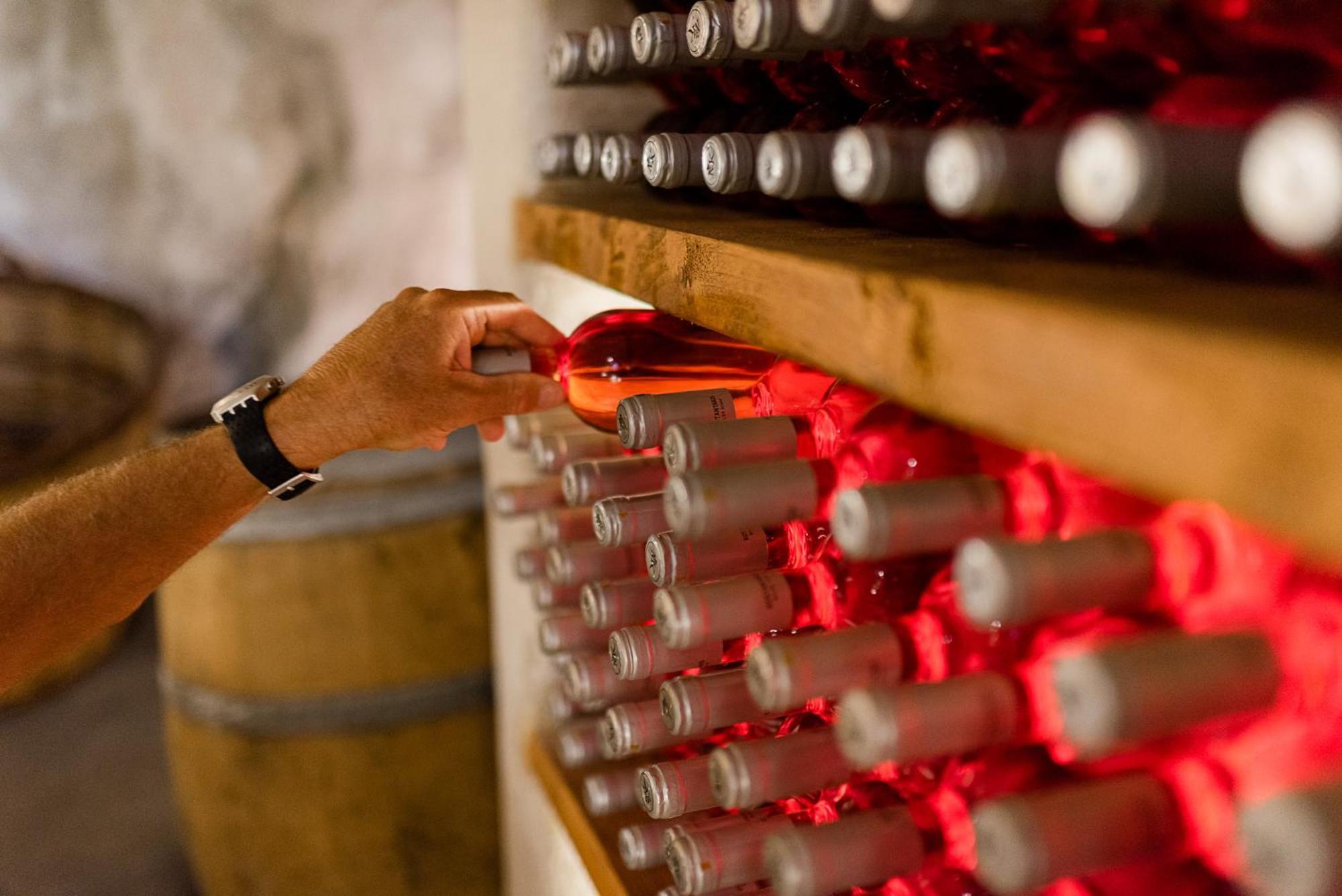 Kostantakis Winery Estate Pension Pollonia Buitenkant foto